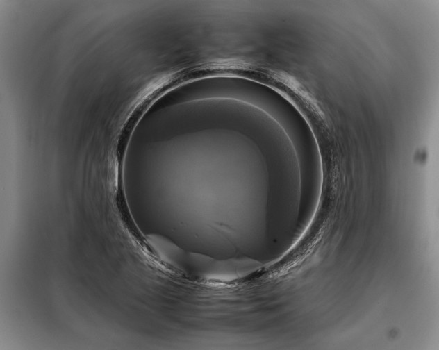 X0000098191221200805011116