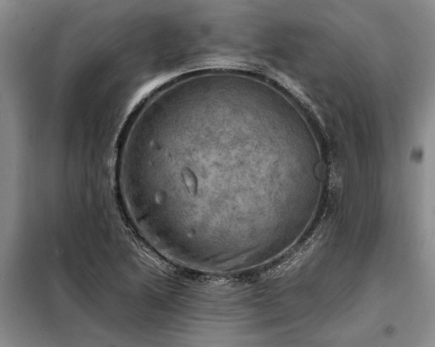 X0000098191222200805011116