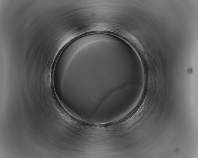 X0000098191226200805011116