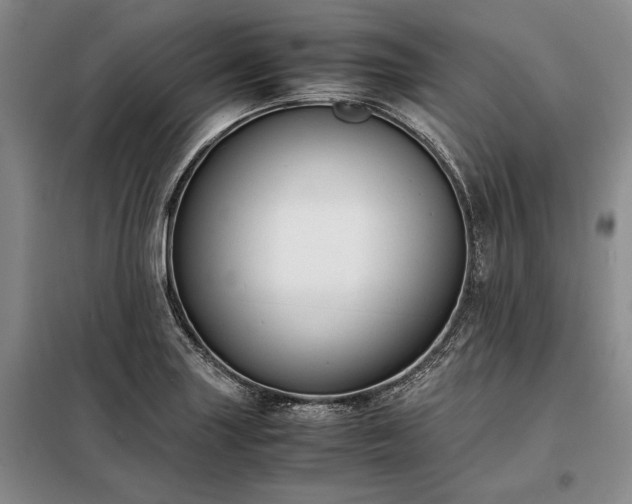 X0000098191227200805011116