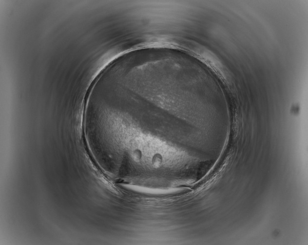 X0000098191228200805011116