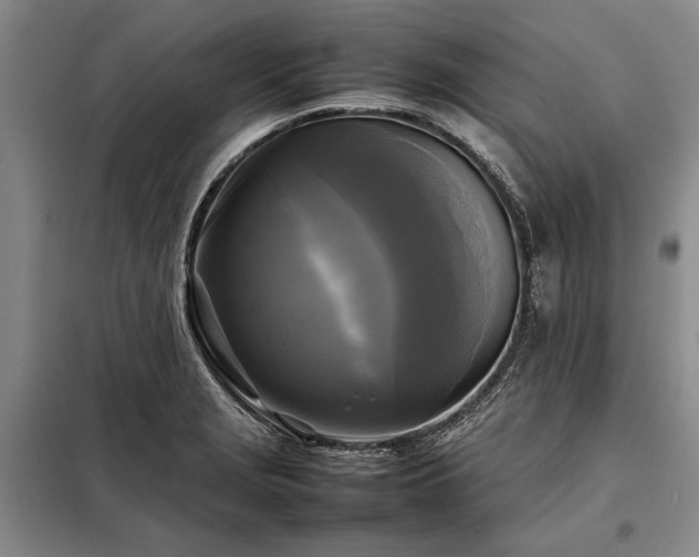 X0000098191229200805011116