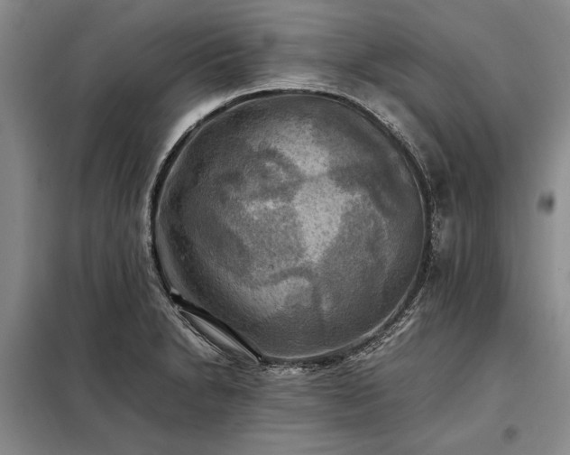 X0000098191230200805011116