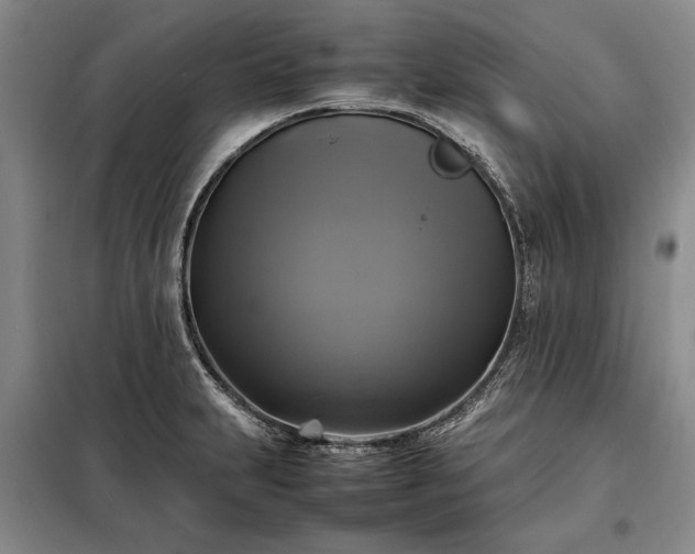 X0000098191231200805011116