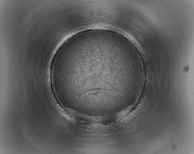 X0000098191232200805011116