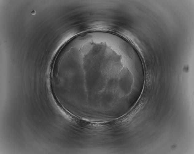 X0000098191235200805011116