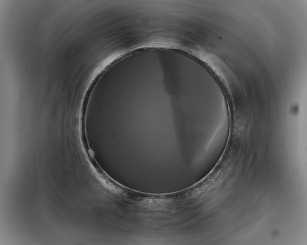 X0000098191237200805011116