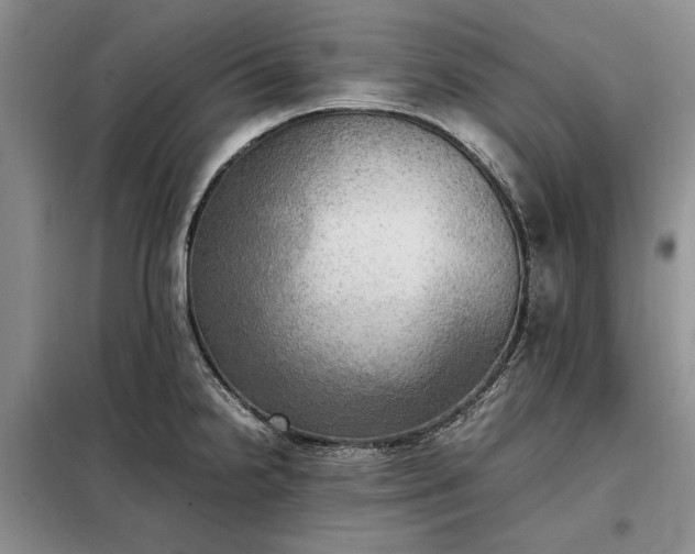 X0000098191238200805011116