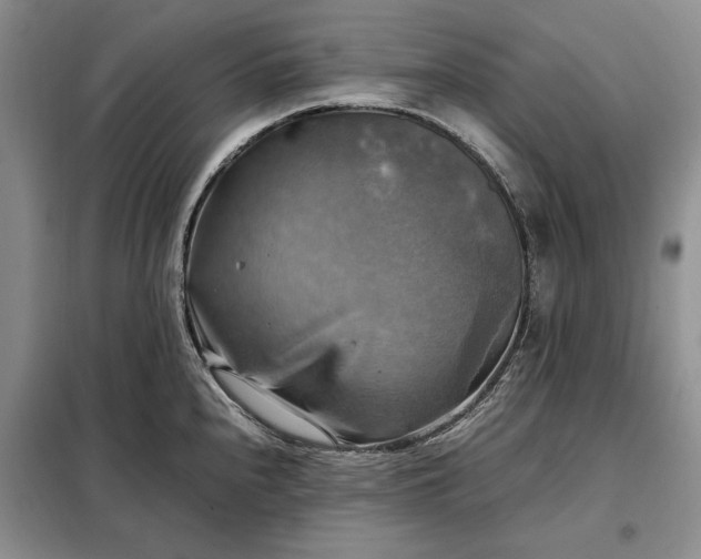 X0000098191240200805011116