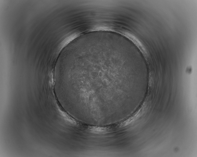X0000098191241200805011116