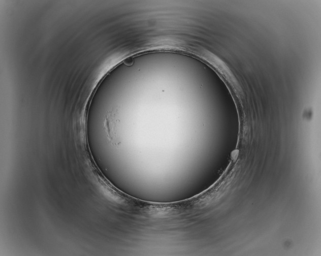 X0000098191242200805011116