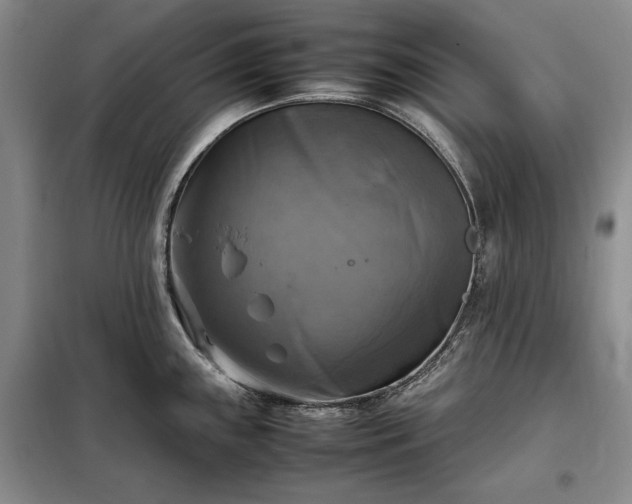X0000098191243200805011116