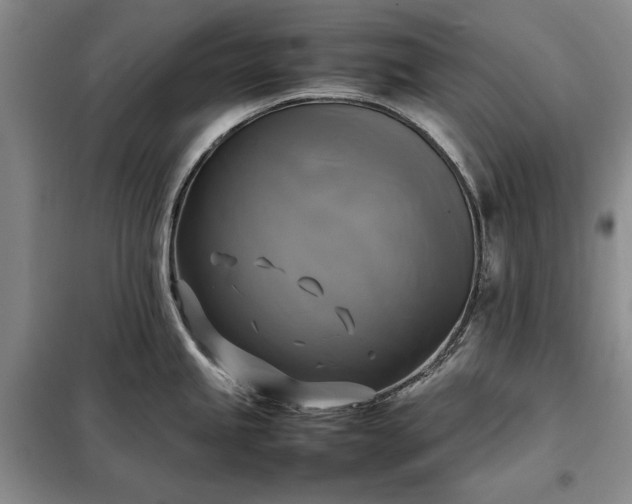 X0000098191245200805011116