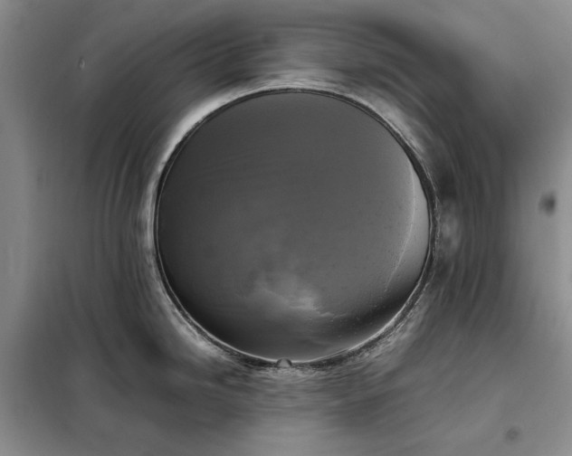 X0000098191246200805011116
