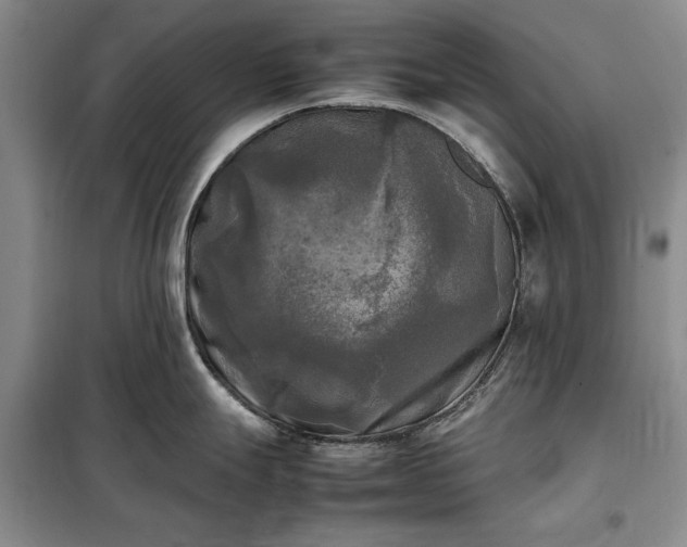X0000098191247200805011116