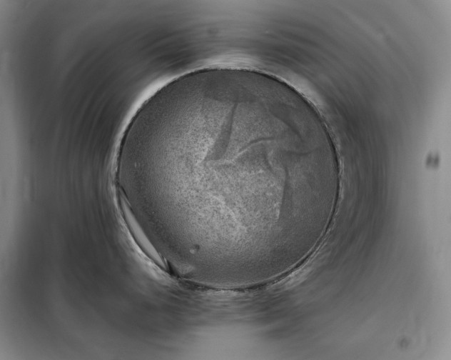 X0000098191248200805011116