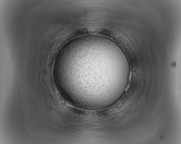 X0000098191249200805011116