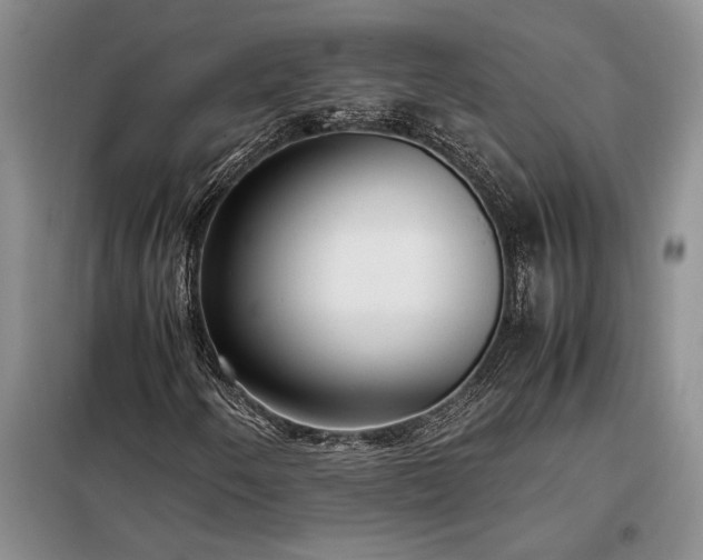 X0000098191250200805011116
