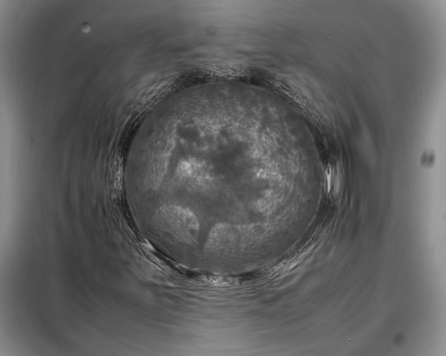 X0000098191251200805011116