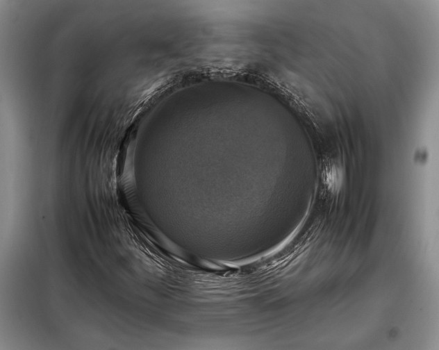X0000098191252200805011115