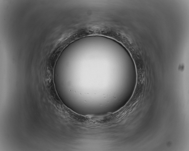 X0000098191253200805011115