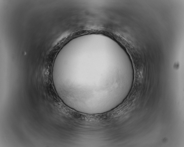X0000098191254200805011115