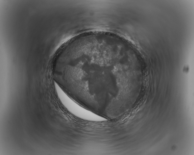 X0000098191255200805011115