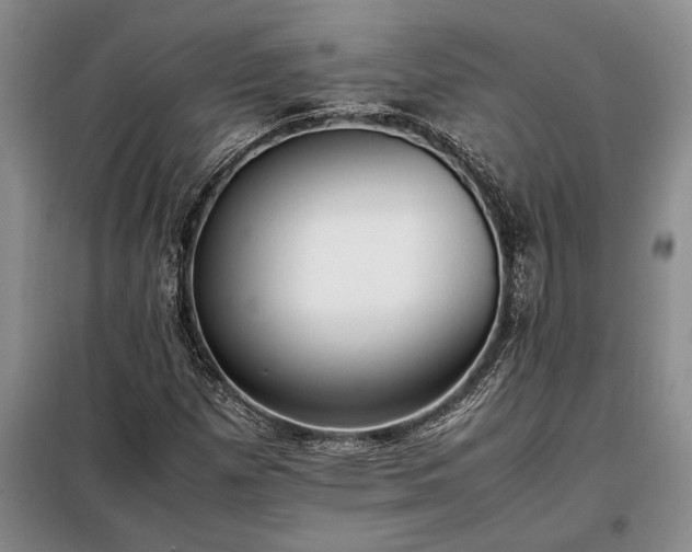 X0000098191257200805011115
