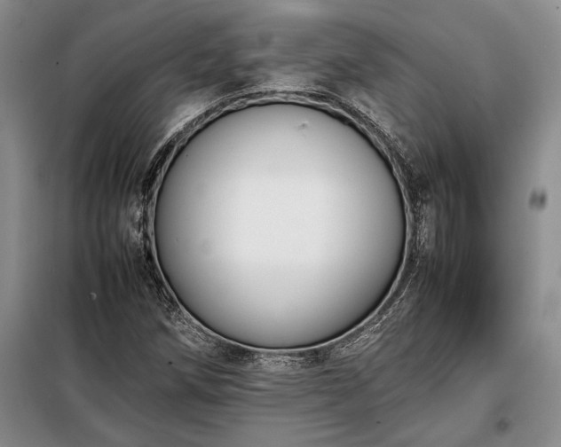 X0000098191258200805011115