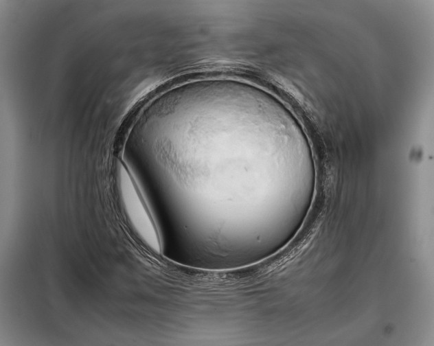 X0000098191259200805011115