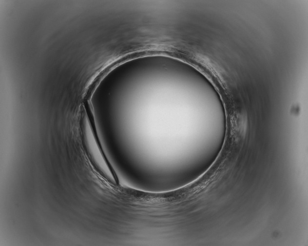 X0000098191260200805011115
