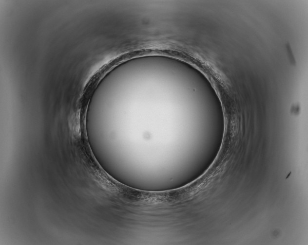 X0000098191262200805011115