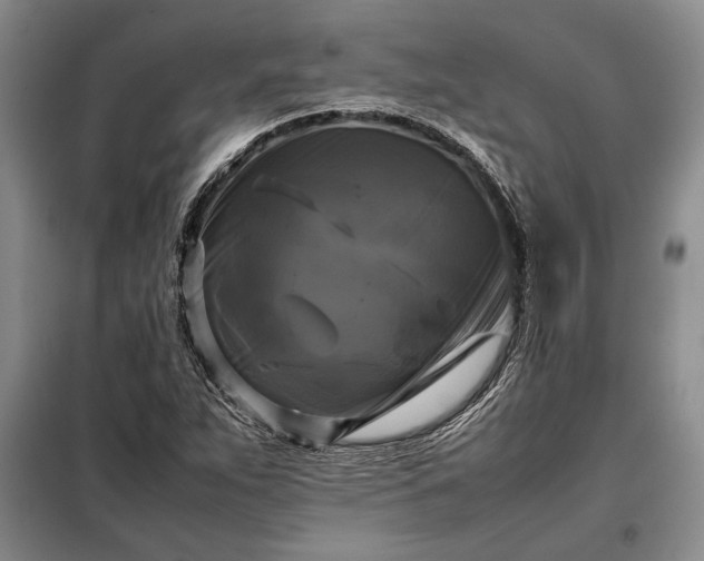X0000098191263200805011115