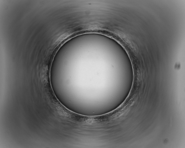 X0000098191265200805011115