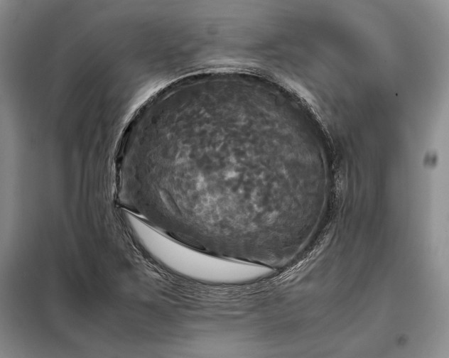 X0000098191267200805011115
