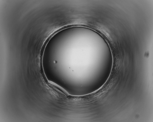 X0000098191268200805011115