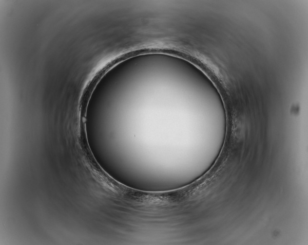 X0000098191270200805011115