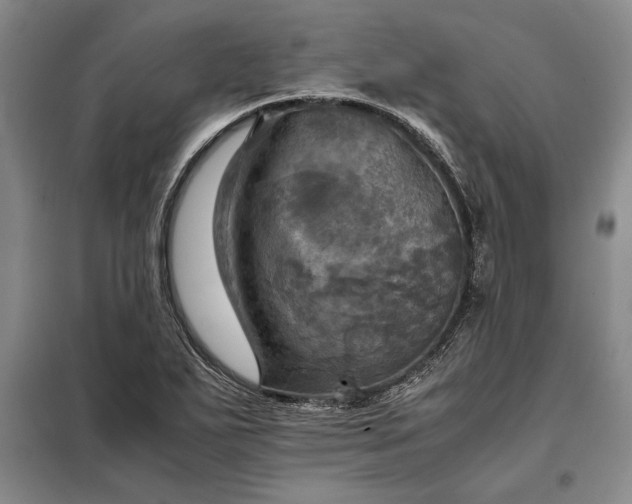 X0000098191271200805011115
