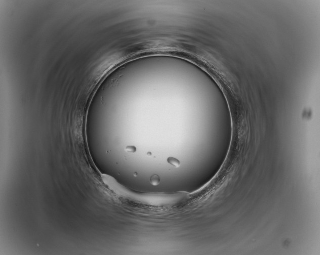 X0000098191273200805011115