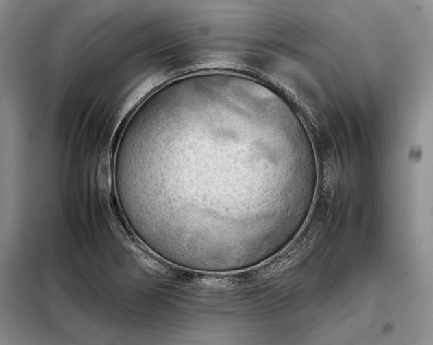 X0000098191274200805011115