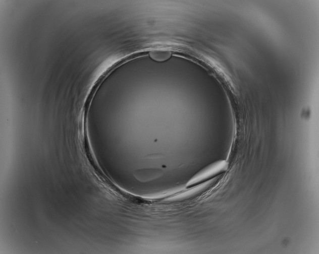 X0000098191275200805011115