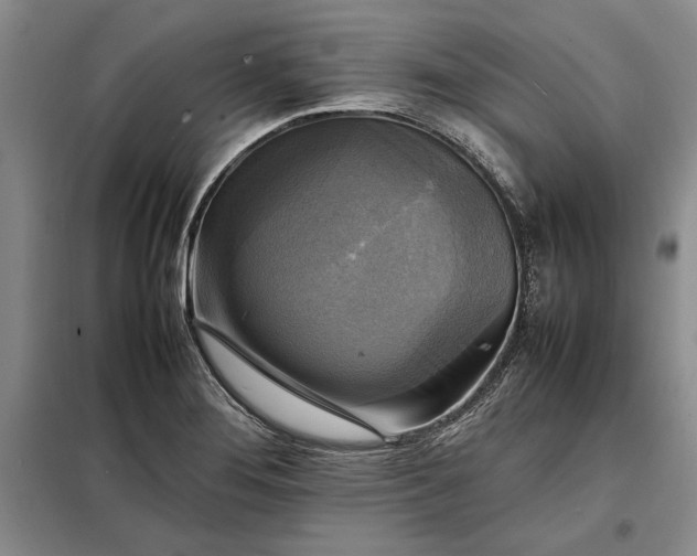 X0000098191276200805011115