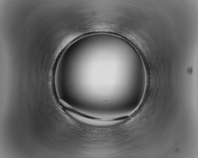 X0000098191277200805011115