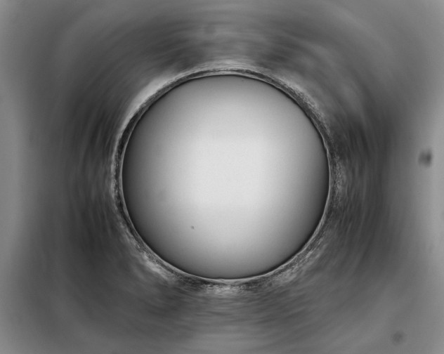 X0000098191278200805011115