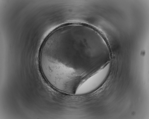 X0000098191279200805011115