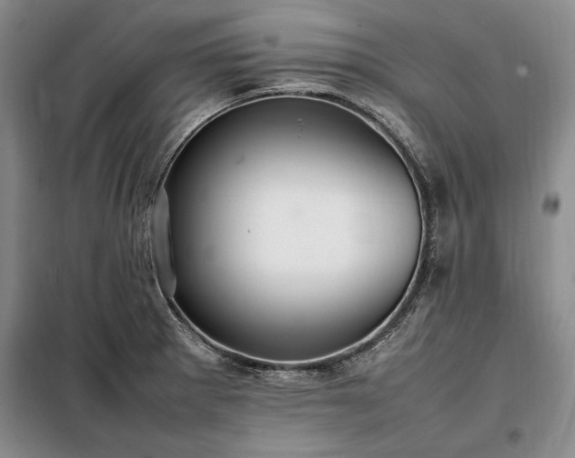 X0000098191281200805011115