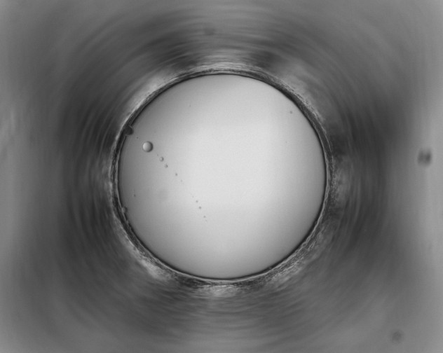 X0000098191282200805011115