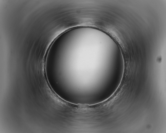 X0000098191284200805011115