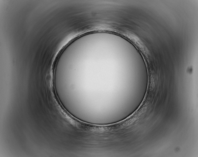 X0000098191286200805011115