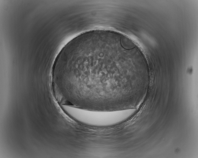 X0000098191287200805011115